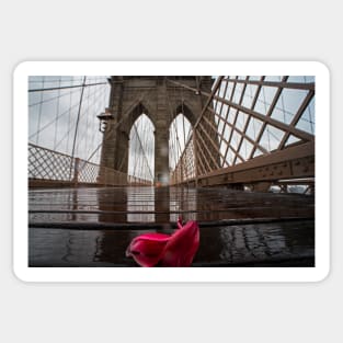 Rainy Day on the Brooklyn Bridge Brooklyn New York Tulip Petals Sticker